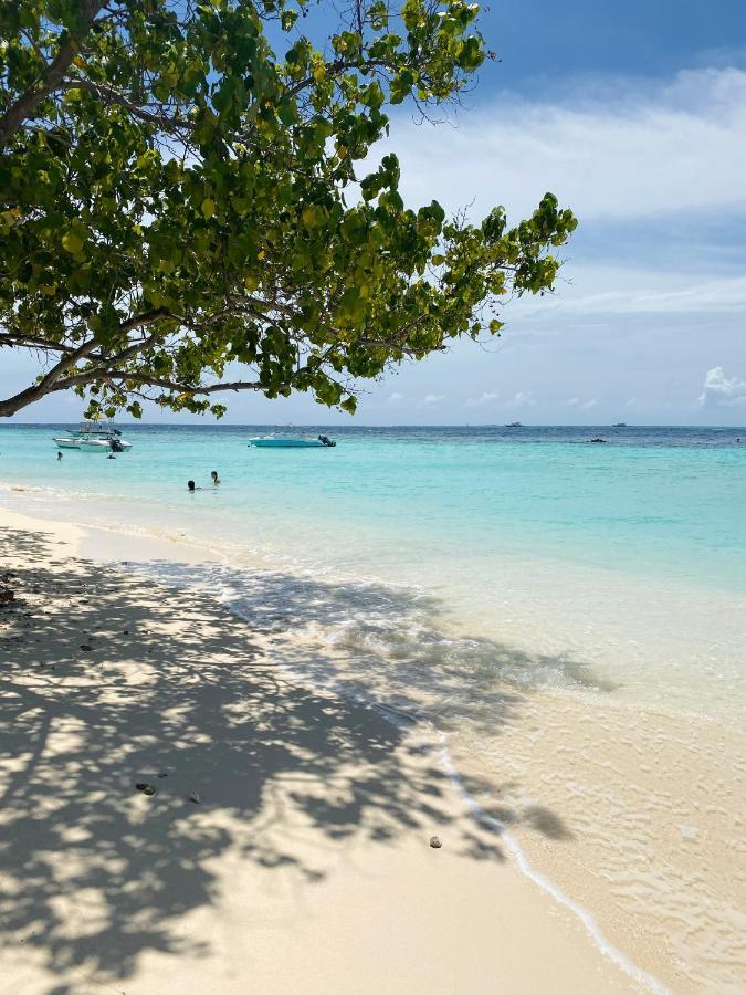 Reef Edge Thulusdhoo, Maldives Hotell Exteriör bild
